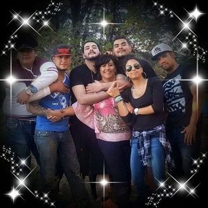 Meet your Posher, Ann